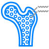 Cortical and trabecular bone